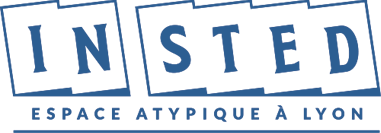 Logo de InSted Lyon